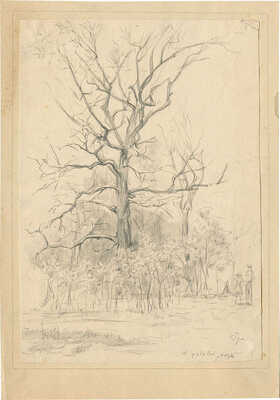 Григорьев Сергей Алексеевич. В дубовой роще 